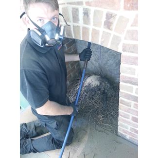 We also clear Jackdaw nests and sweep chimneys